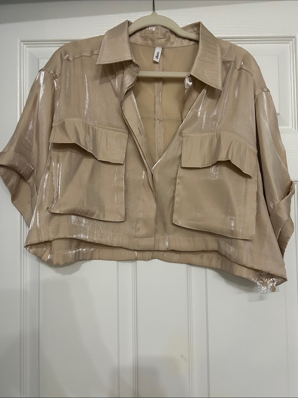 glam Shimmery Nude-Beige Cropped Shirt